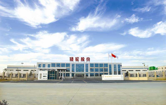 1467787148250001147.jpg 1.jpg