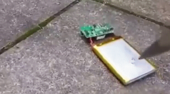 1473127557534033723.jpg 102-2.jpg