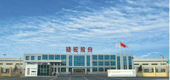 1476844282136095146.jpg 大.jpg