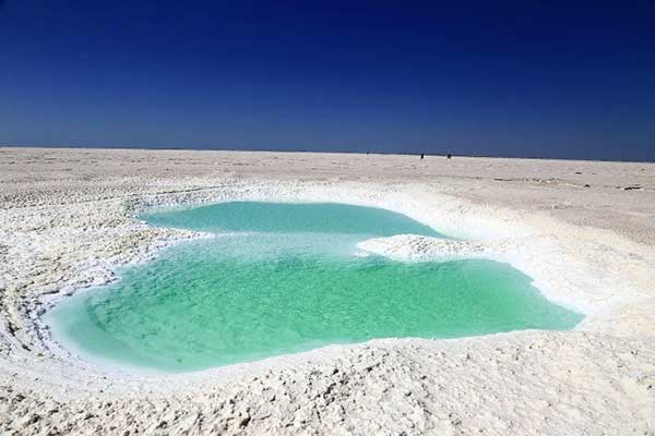 1478137976347047703.jpg 1.jpg