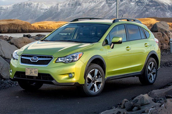 1495587480391063090.jpg 222.jpg