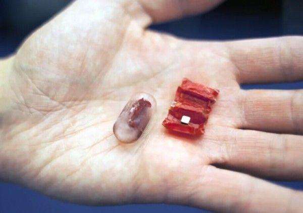 1504506837087069237.jpg timg.jpg