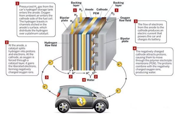 1506391709306053903.jpg 1.jpg