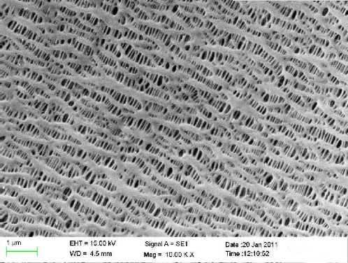 聚烯烴隔膜原料和生產原理 聚烯烴隔膜原料和生產原理