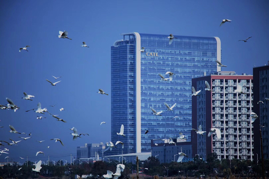 獨角獸寧德時代正式登陸創業板 引領動力電池行業時代變革 獨角獸寧德時代正式登陸創業板 引領動力電池行業時代變革