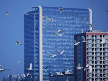 獨角獸寧德時代正式登陸創(chuàng)業(yè)板 引領動力電池行業(yè)時代變革