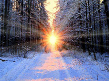 產能盤點I | 400GWh！寒冬中的暖陽？主流電池企業擴增迅速