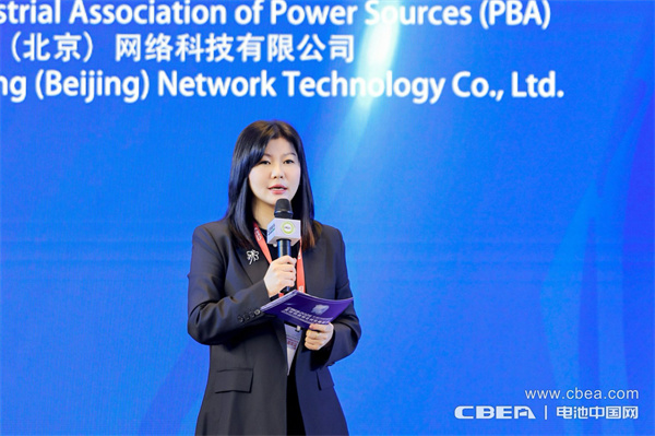 十年筑夢,新程再啟!邁向新能源電池全球供應鏈區域化發展新時代 十年筑夢,新程再啟!邁向新能源電池全球供應鏈區域化發展新時代